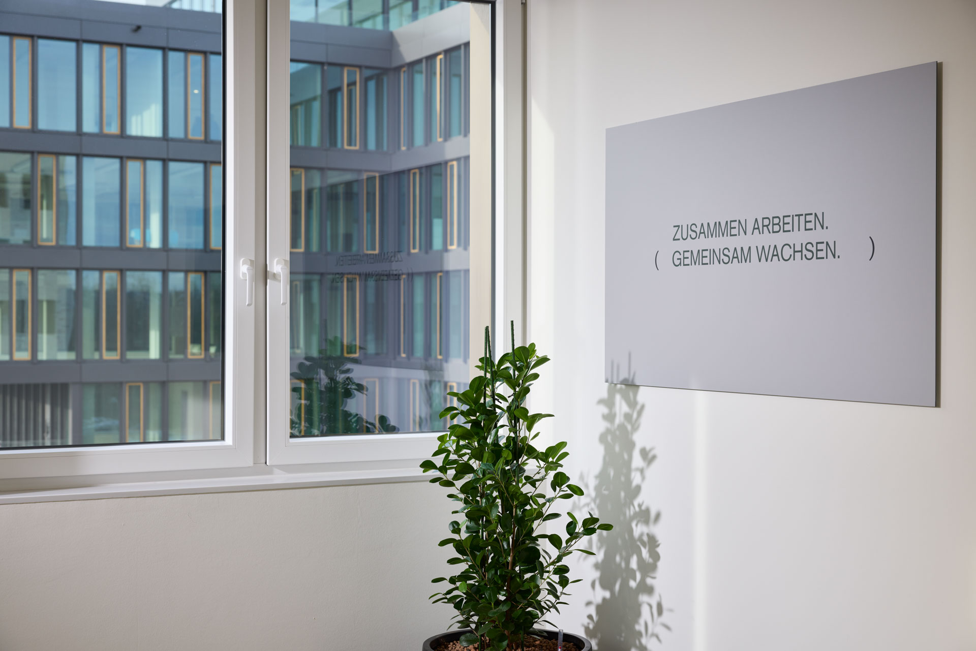 Schild an der Wand mit der Aufschrift Zusammen arbeiten - Gemeinsam wachsen